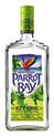 Captain Morgan Parrot Bay Rum Key Lime